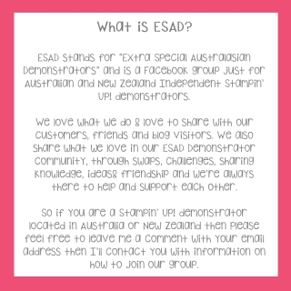 ESAD Info Retirement Colours-001